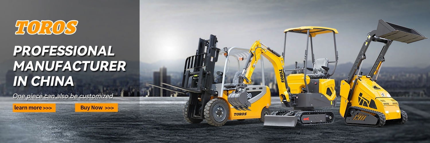 Qualität Toros Minibagger usine